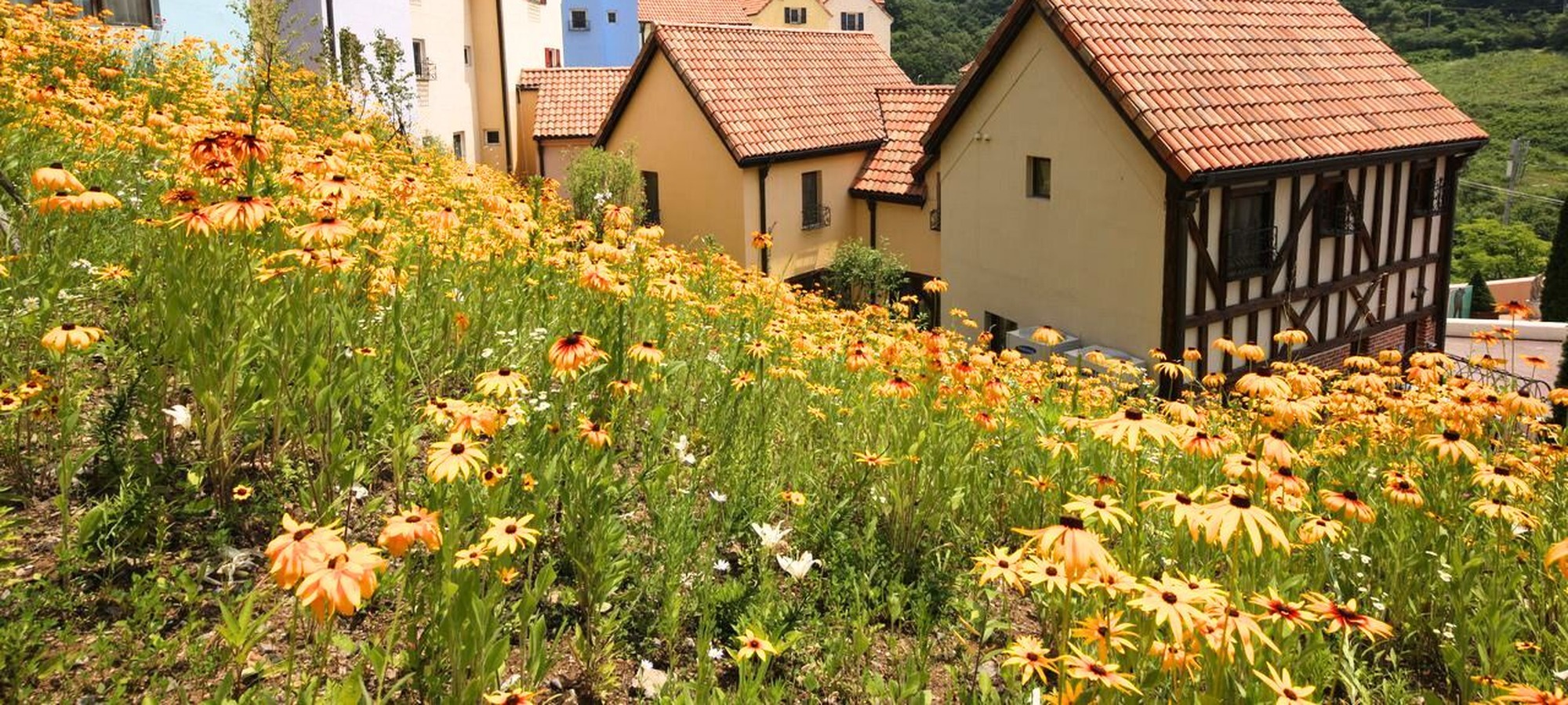 Petite France on Nami Island + Petite France & Italian Village One Day Tour