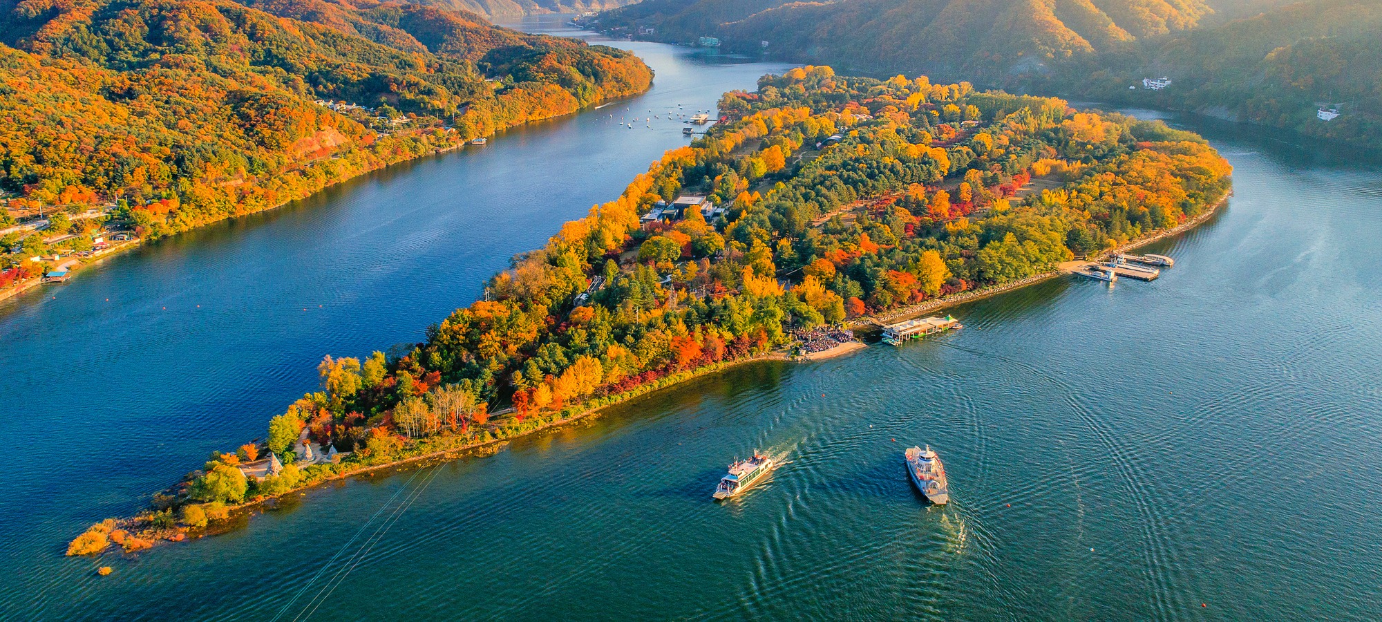 Nami Island on Alpaca World + Nami Island One Day Tour
