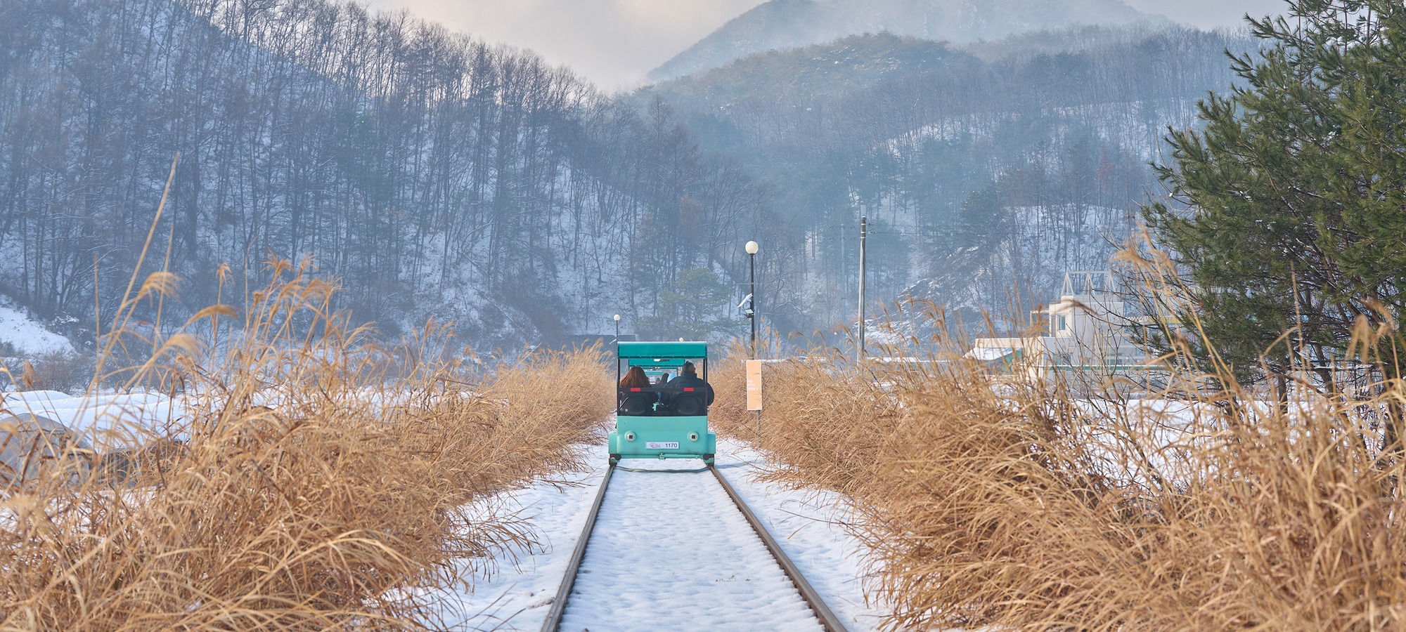 Gangchon Rail Bike on Alpaca World + Gangchon Railbike + Nami Island + Garden of Morning Calm One Day Tour