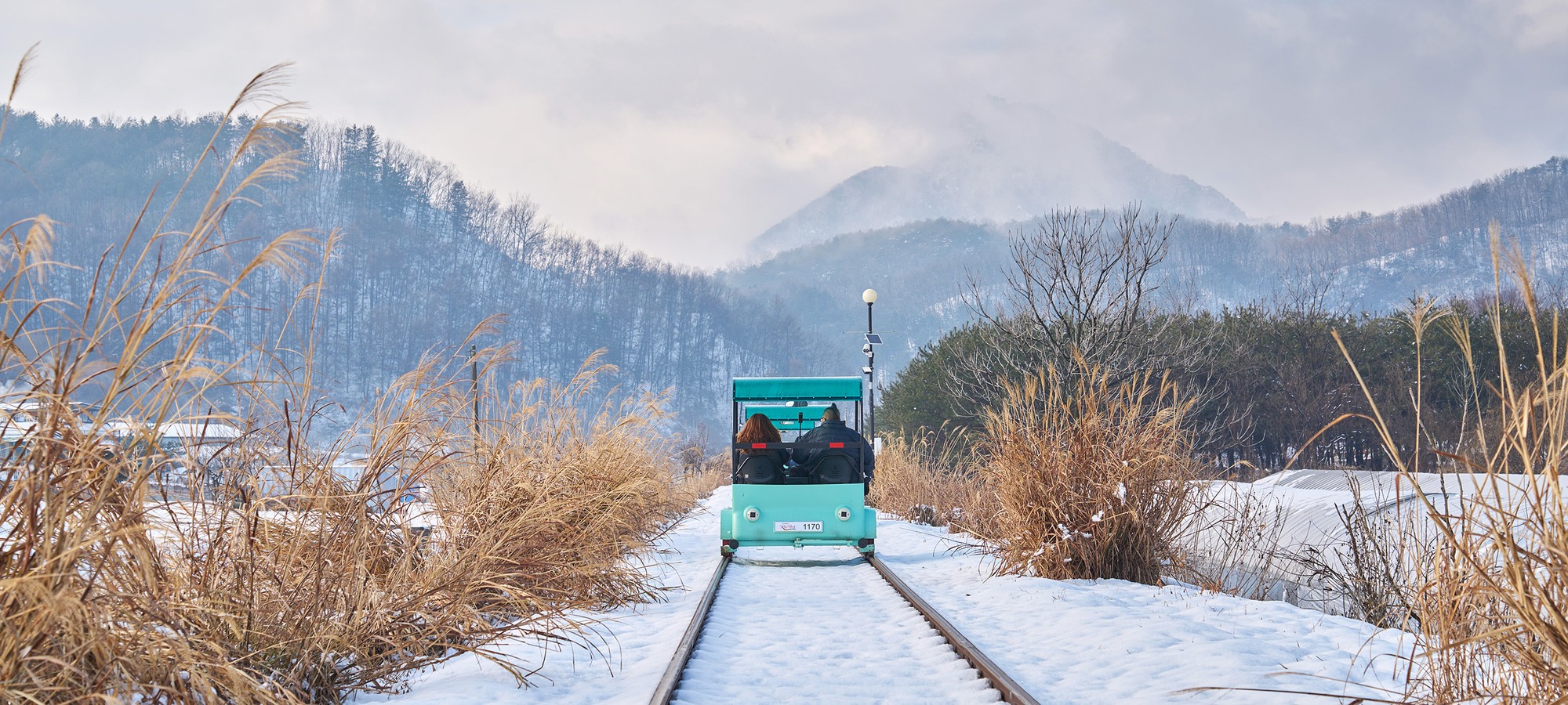Gangchon Rail Bike on Alpaca World + Gangchon Railbike + Nami Island + The Stay Healing Park One Day Tour