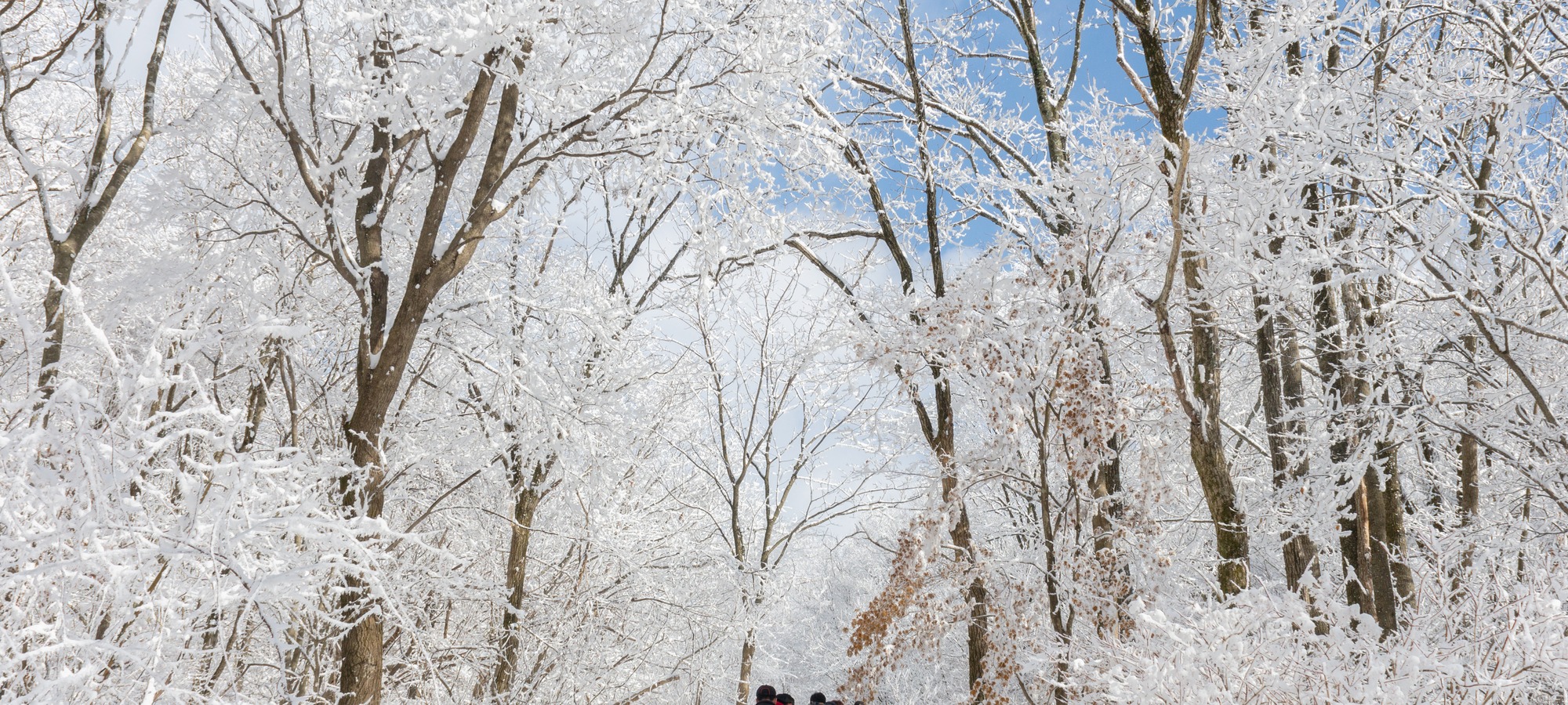 Mt Seorak mountain scenery