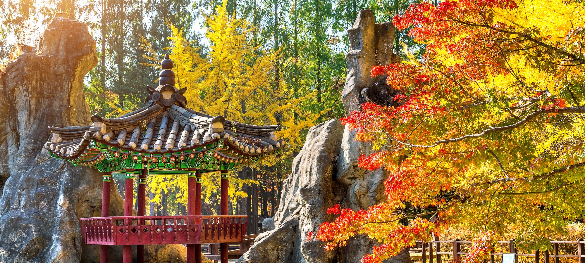 Nami Island on Nami Island + Mt. Seorak One Day Tour