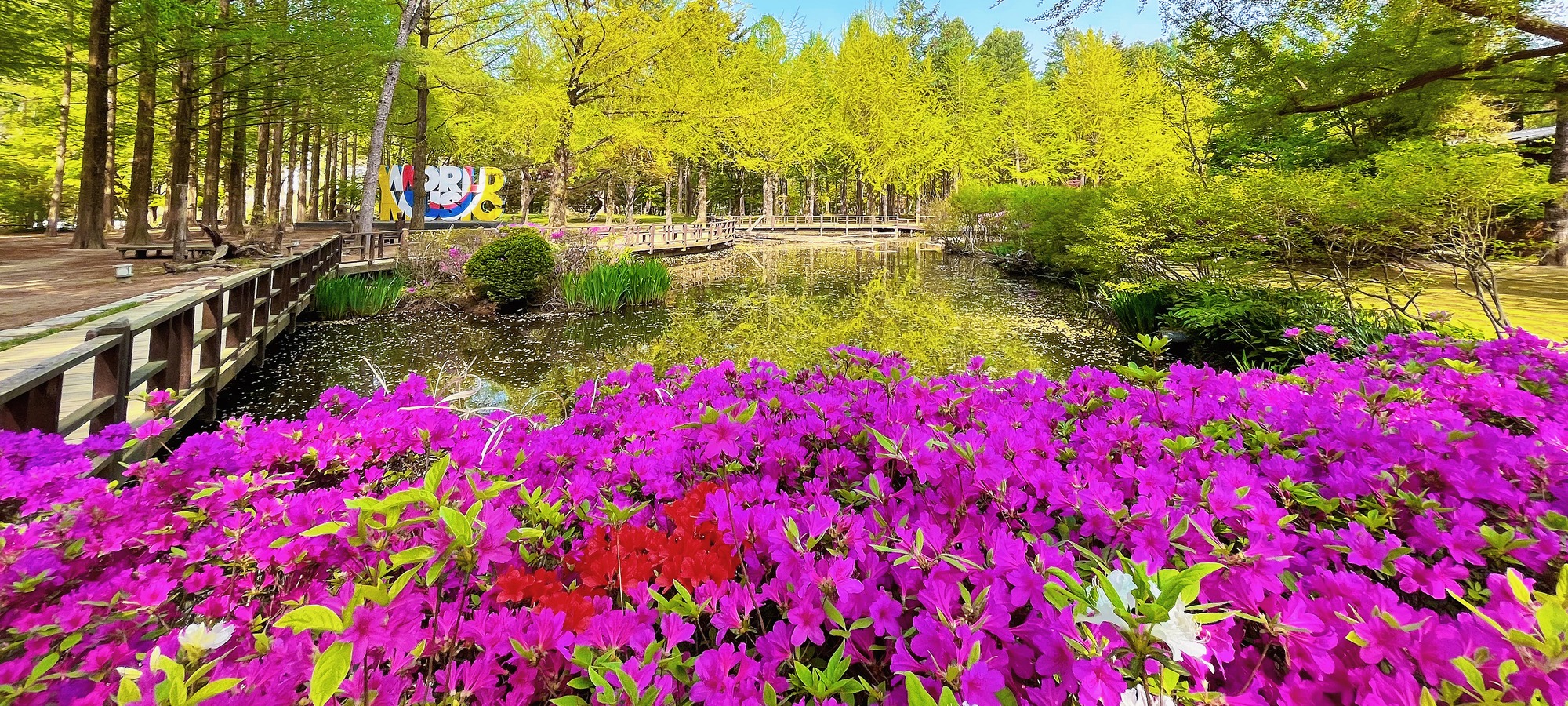 Nami Island on Round-trip Shuttle Bus from Seoul to Nami Island