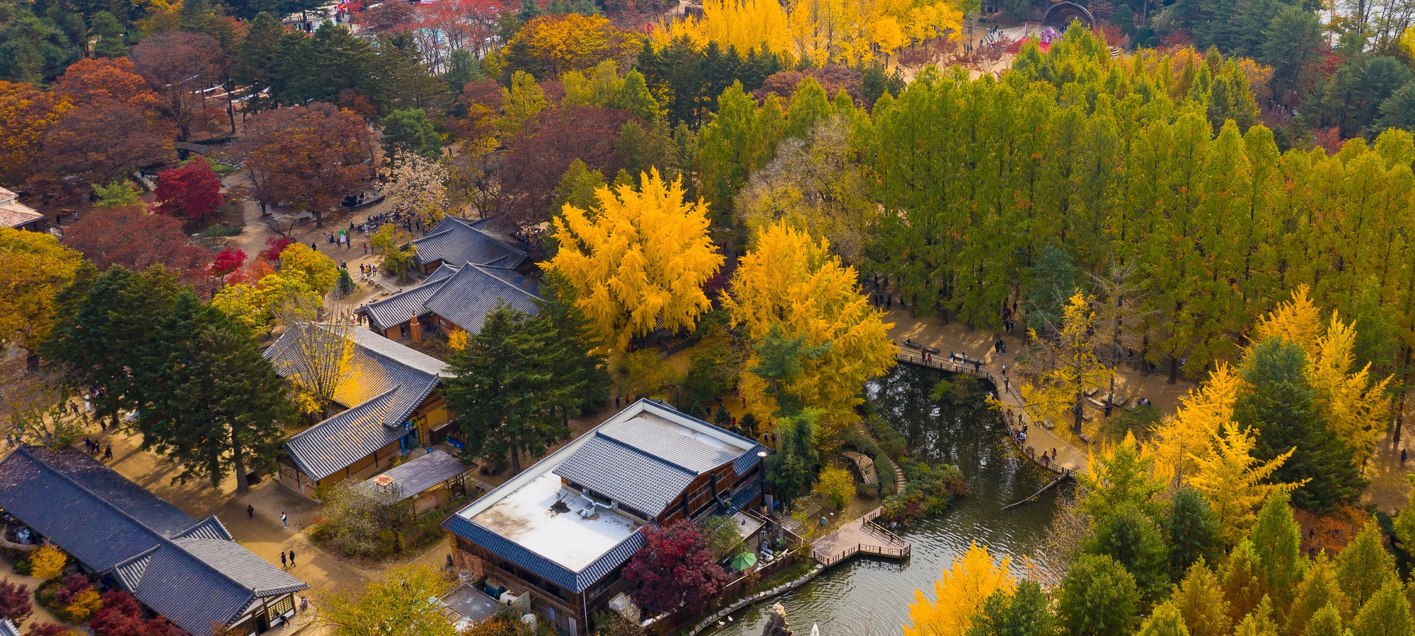 Nami Island on Round-trip Shuttle Bus from Seoul to Nami Island