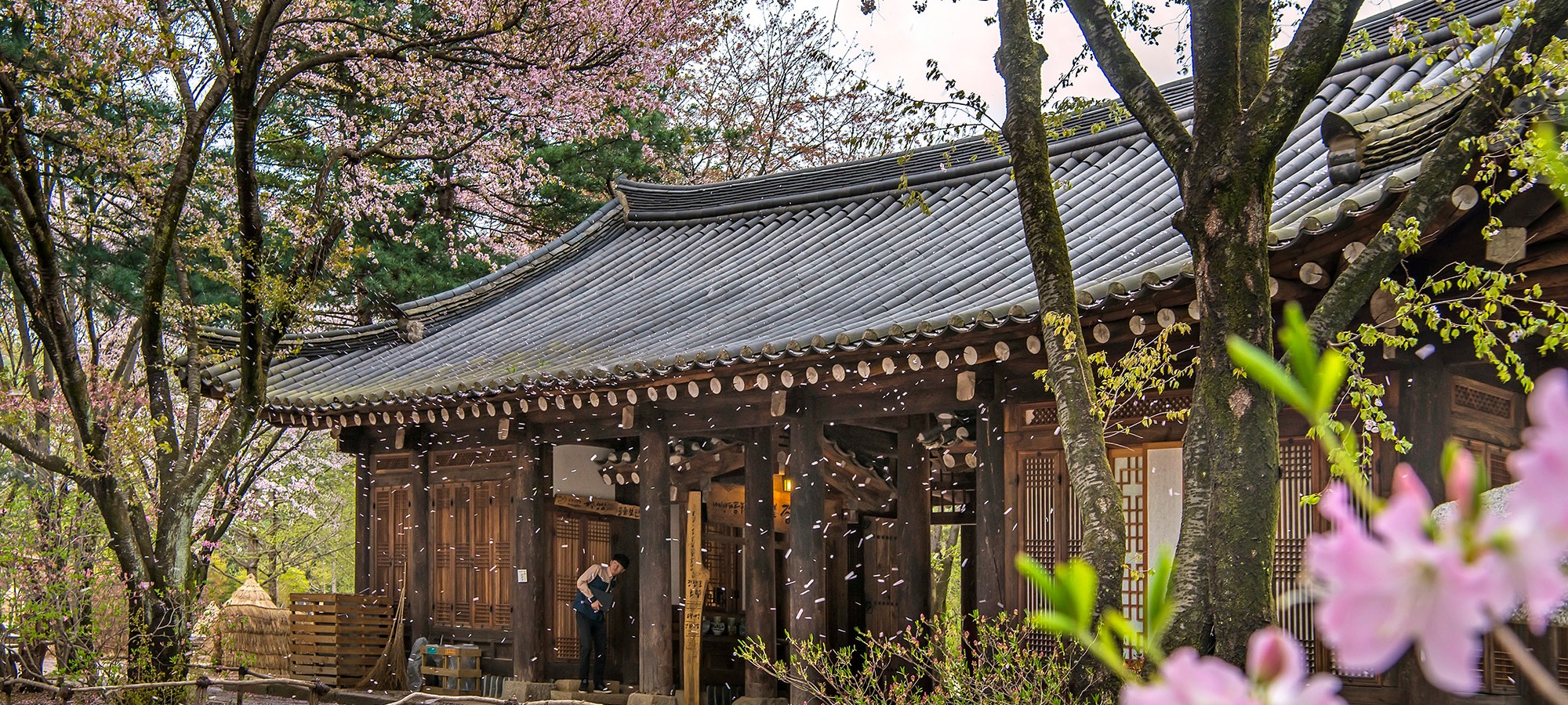 Nami Island on Nami + Gangchon Railbike + The Garden of Morning Calm One Day Tour
