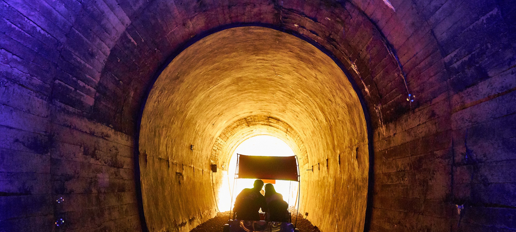 Gangchon Rail Bike on Nami + Gangchon Railbike + The Garden of Morning Calm One Day Tour