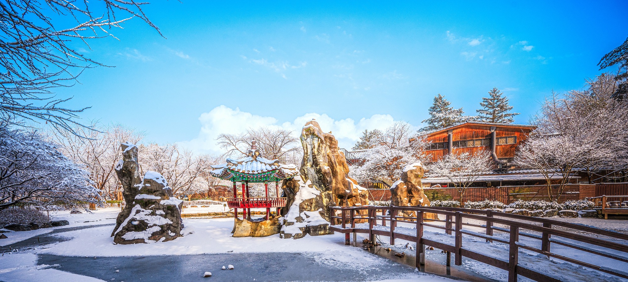 Nami Island on Nami + Gangchon Railbike + Petite France & Italian Village One Day Tour