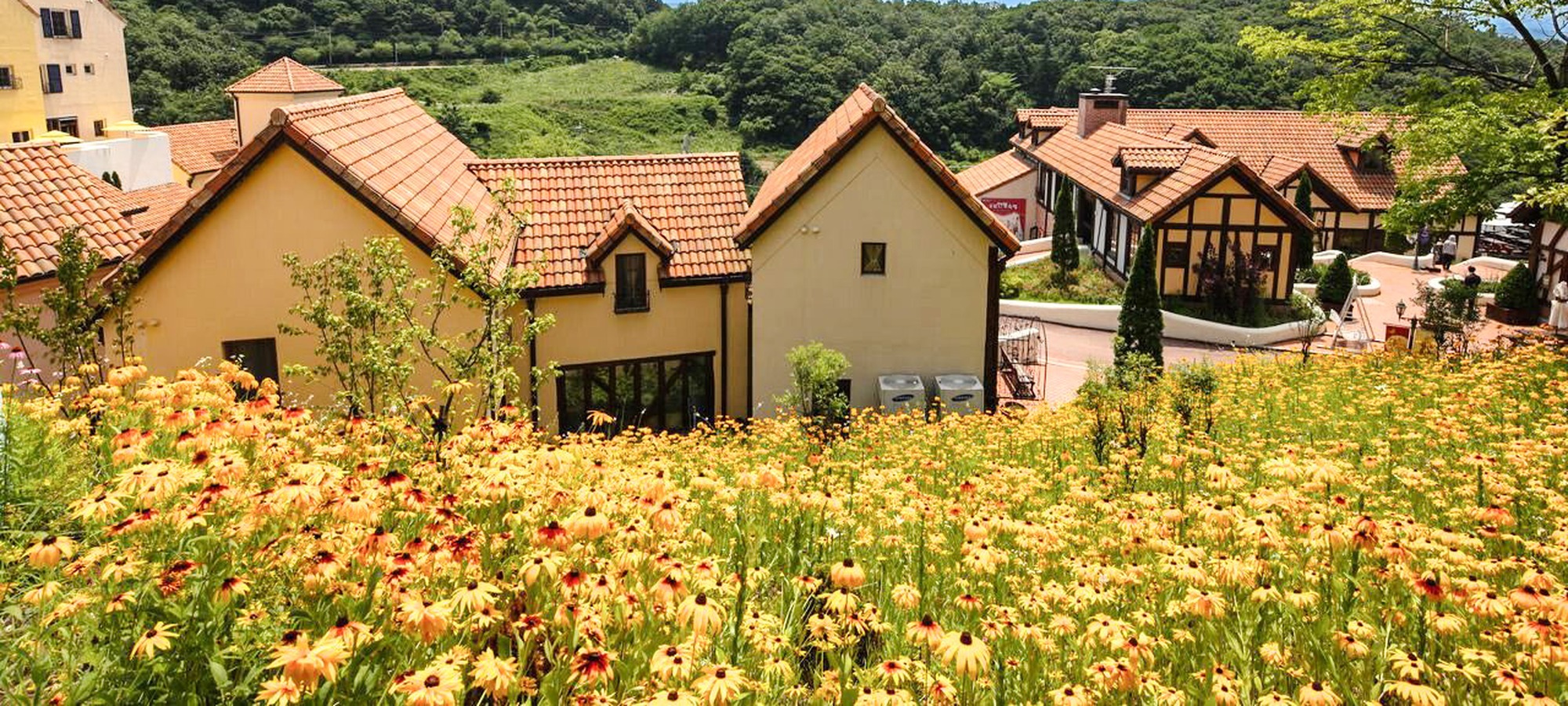 Petite France on Nami Island + Petite France & Italian Village + Gangchon Railbike + The Garden of Morning Calm One Day Tour