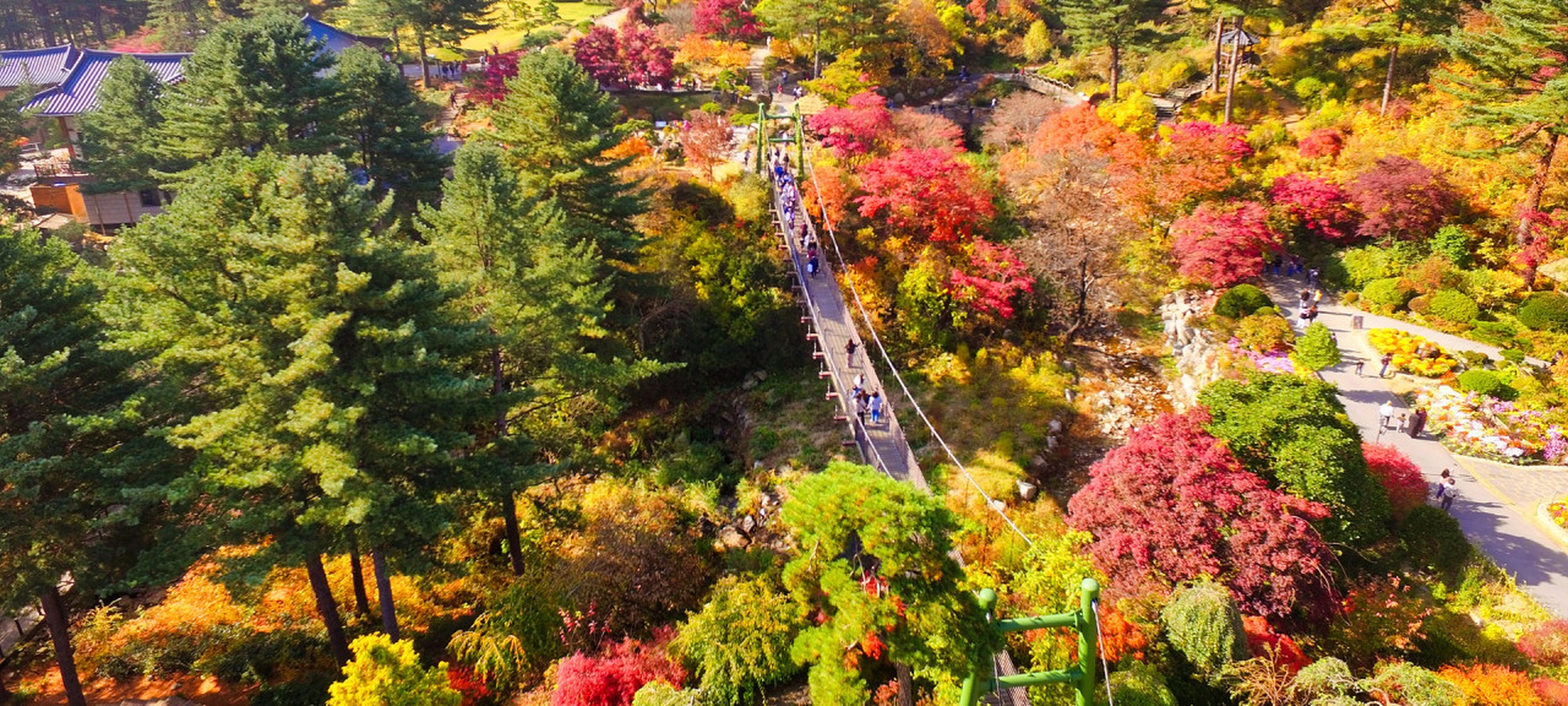 Garden Of Morning Calm on Alpaca World + Nami Island + The Garden of Morning Calm One Day Tour