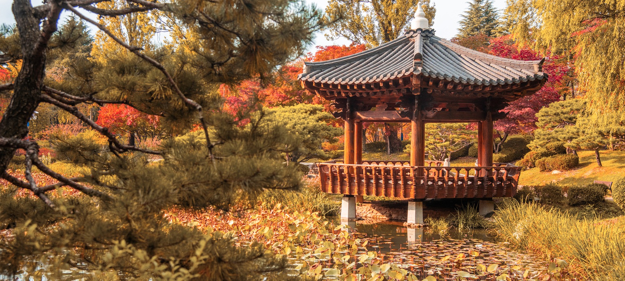 Daereungwon on Gyeongju UNESCO World Heritage One Day Tour
