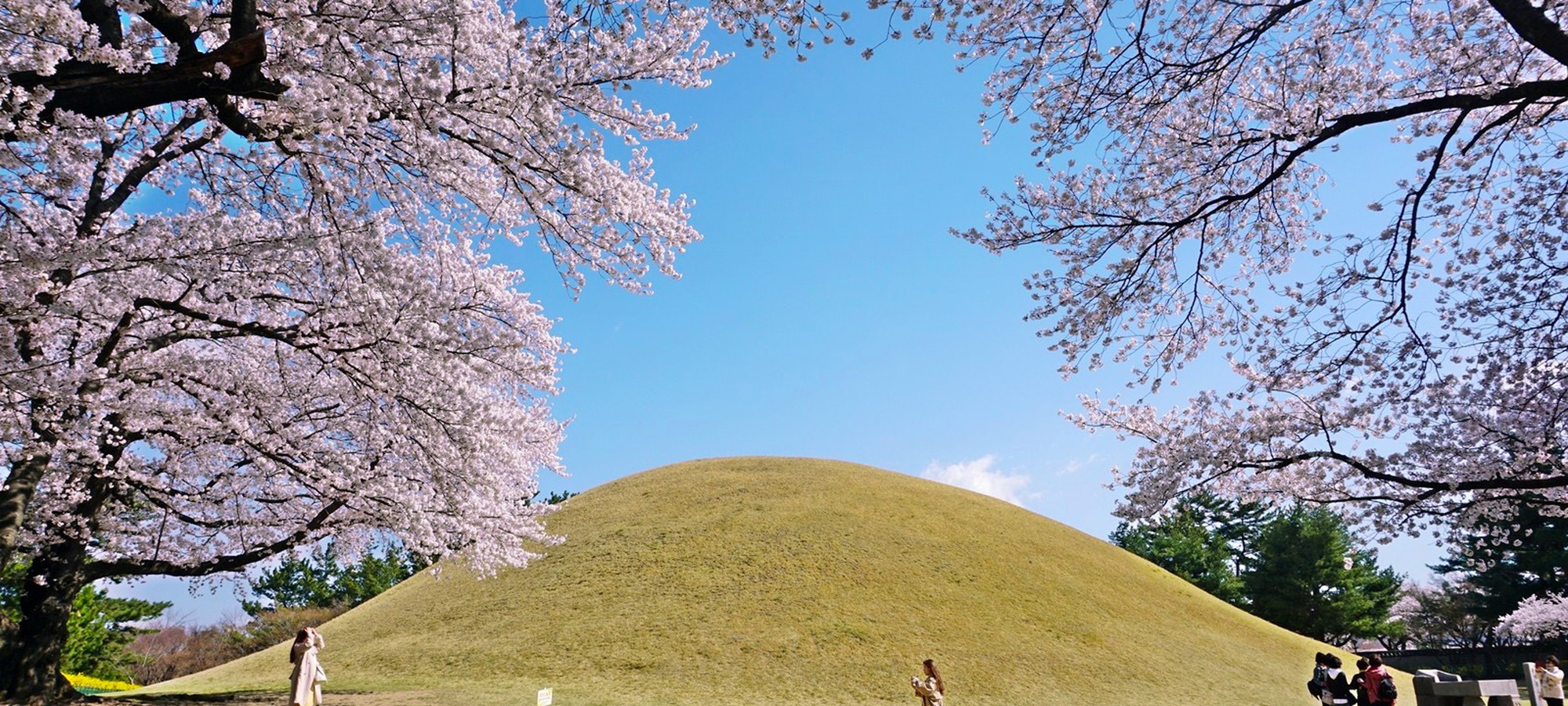 Gyeongju National Museum on Gyeongju Half Day Highlight Tour